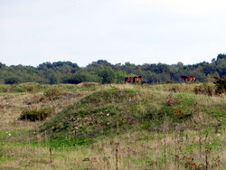 Oct 2013: 8B looking east